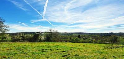 Terrain à Brennilis en Finistère (29) de 5214 m² à vendre au prix de 43500€ - 3