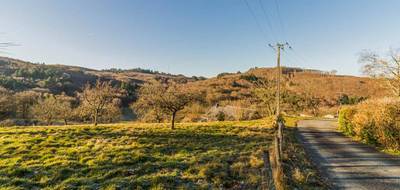 Terrain à Sainte-Fortunade en Corrèze (19) de 2000 m² à vendre au prix de 35000€ - 1