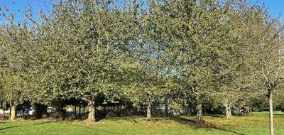 Terrain à Bourneville-Sainte-Croix en Eure (27) de 1100 m² à vendre au prix de 55000€ - 1