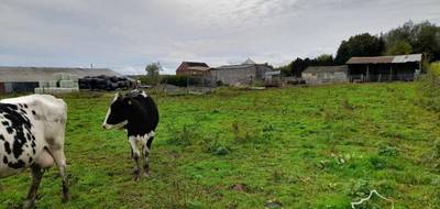 Terrain à Sars-Poteries en Nord (59) de 5907 m² à vendre au prix de 219900€ - 2