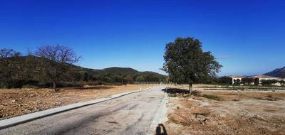 Terrain à Calenzana en Haute-Corse (2B) de 563 m² à vendre au prix de 146750€ - 1