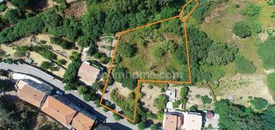 Terrain à Oletta en Haute-Corse (2B) de 3218 m² à vendre au prix de 280000€ - 1