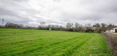 Terrain à Montvicq en Allier (03) de 6317 m² à vendre au prix de 43000€ - 1