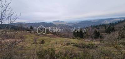 Terrain à Grandrieu en Lozère (48) de 3550 m² à vendre au prix de 136500€ - 3