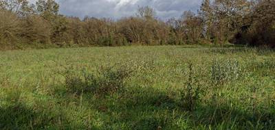 Terrain à Loqueffret en Finistère (29) de 5810 m² à vendre au prix de 65000€ - 1