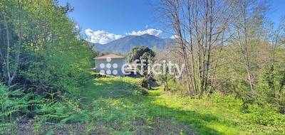 Terrain à Cervione en Haute-Corse (2B) de 1500 m² à vendre au prix de 105000€ - 3