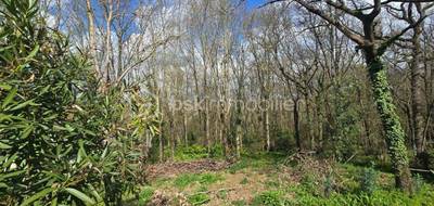 Terrain à Flourens en Haute-Garonne (31) de 1015 m² à vendre au prix de 259000€ - 3