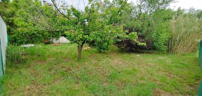 Terrain à Colomiers en Haute-Garonne (31) de 357 m² à vendre au prix de 144000€ - 3