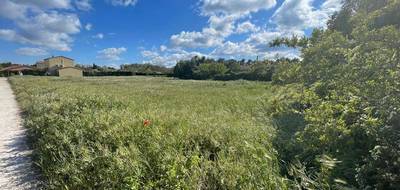 Terrain à Cheval-Blanc en Vaucluse (84) de 3087 m² à vendre au prix de 750000€ - 2