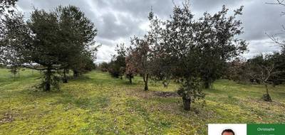 Terrain à Aussac-Vadalle en Charente (16) de 8656 m² à vendre au prix de 110000€ - 2