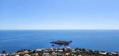 Terrain à Saint-Raphaël en Var (83) de 3183 m² à vendre au prix de 1220000€ - 1