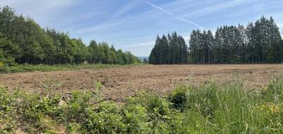 Terrain à Royères en Haute-Vienne (87) de 2972 m² à vendre au prix de 51000€ - 3