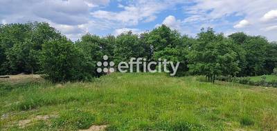 Terrain à Charmes-sur-Rhône en Ardèche (07) de 1070 m² à vendre au prix de 120000€ - 1