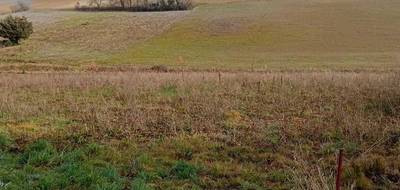 Terrain à Graulhet en Tarn (81) de 1250 m² à vendre au prix de 45000€ - 2