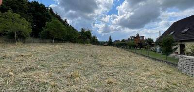 Terrain à Hirtzbach en Haut-Rhin (68) de 1600 m² à vendre au prix de 217391€ - 2