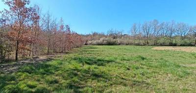 Terrain à Montauban en Tarn-et-Garonne (82) de 1017 m² à vendre au prix de 96000€ - 1