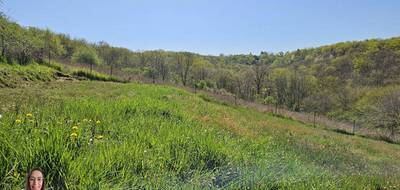 Terrain à Noailles en Corrèze (19) de 3000 m² à vendre au prix de 34990€ - 4