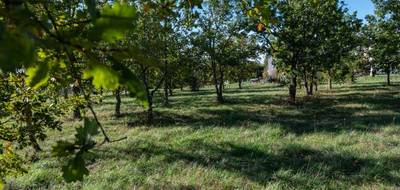Terrain à Lalbenque en Lot (46) de 1173 m² à vendre au prix de 43882€ - 2