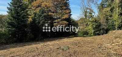 Terrain à Cholonge en Isère (38) de 1600 m² à vendre au prix de 128000€ - 1