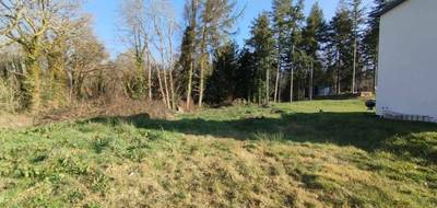 Terrain à Baden en Morbihan (56) de 303 m² à vendre au prix de 295000€ - 4