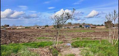 Terrain à Auros en Gironde (33) de 650 m² à vendre au prix de 66500€ - 2