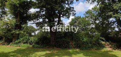 Terrain à Saint-Philbert-de-Grand-Lieu en Loire-Atlantique (44) de 1070 m² à vendre au prix de 184900€ - 3