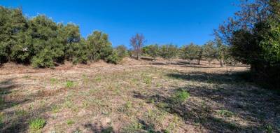 Terrain à Caunes-Minervois en Aude (11) de 1600 m² à vendre au prix de 82000€ - 1