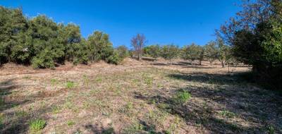 Terrain à Caunes-Minervois en Aude (11) de 1600 m² à vendre au prix de 78000€ - 1