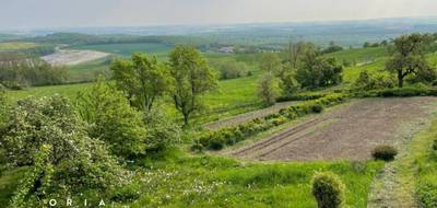 Terrain à Mousson en Meurthe-et-Moselle (54) de 1625 m² à vendre au prix de 125000€ - 1