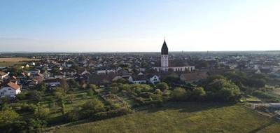 Terrain à Wittelsheim en Haut-Rhin (68) de 222 m² à vendre au prix de 61050€ - 1