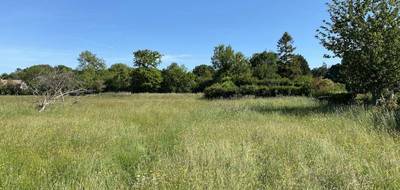 Terrain à Auberville en Calvados (14) de 573 m² à vendre au prix de 127500€ - 4