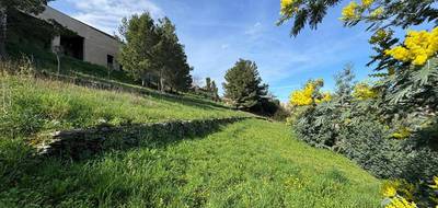 Terrain à Port-Vendres en Pyrénées-Orientales (66) de 727 m² à vendre au prix de 329000€ - 4