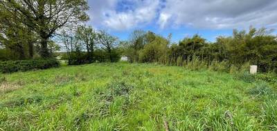 Terrain à La Chevrolière en Loire-Atlantique (44) de 567 m² à vendre au prix de 130920€ - 2