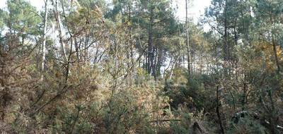 Terrain à Nivillac en Morbihan (56) de 14360 m² à vendre au prix de 49000€ - 3