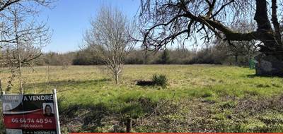 Terrain à Thouaré-sur-Loire en Loire-Atlantique (44) de 620 m² à vendre au prix de 162800€ - 1