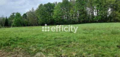 Terrain à Saint-Auvent en Haute-Vienne (87) de 4578 m² à vendre au prix de 50600€ - 1