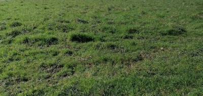 Terrain à Taupont en Morbihan (56) de 992 m² à vendre au prix de 64490€ - 2
