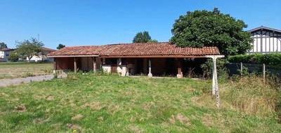 Terrain à Laluque en Landes (40) de 2458 m² à vendre au prix de 148000€ - 3