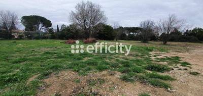 Terrain à Villevieille en Gard (30) de 1082 m² à vendre au prix de 217000€ - 2