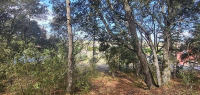 Terrain à Oraison en Alpes-de-Haute-Provence (04) de 2847 m² à vendre au prix de 240000€ - 4