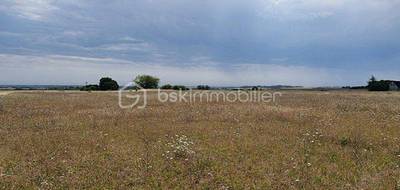 Terrain à Boësses en Loiret (45) de 7973 m² à vendre au prix de 49500€ - 4