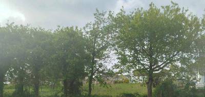 Terrain à Béganne en Morbihan (56) de 997 m² à vendre au prix de 29900€ - 4