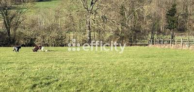 Terrain à Arçonnay en Sarthe (72) de 50000 m² à vendre au prix de 145000€ - 1