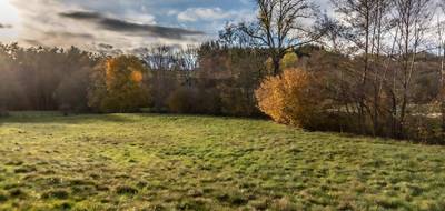 Terrain à Chabreloche en Puy-de-Dôme (63) de 5264 m² à vendre au prix de 69000€ - 3