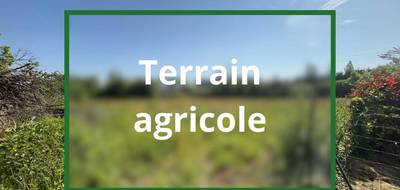 Terrain à Saint-Gildas-des-Bois en Loire-Atlantique (44) de 6837 m² à vendre au prix de 16500€ - 1