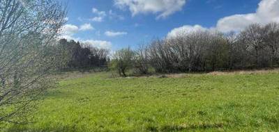 Terrain à Paussac-et-Saint-Vivien en Dordogne (24) de 2543 m² à vendre au prix de 29500€ - 3