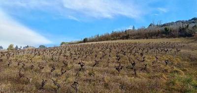 Terrain à Albi en Tarn (81) de 8000 m² à vendre au prix de 150000€ - 1