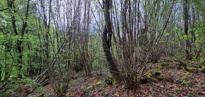 Terrain à Tulle en Corrèze (19) de 12706 m² à vendre au prix de 35590€ - 2