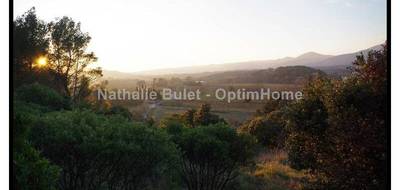 Terrain à Pierrerue en Hérault (34) de 2620 m² à vendre au prix de 65000€ - 1