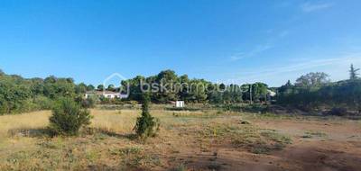 Terrain à Clermont-l'Hérault en Hérault (34) de 2000 m² à vendre au prix de 299000€ - 3